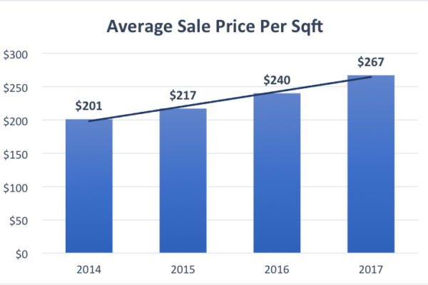 The Schenley Park Real Estate Market Update 2018