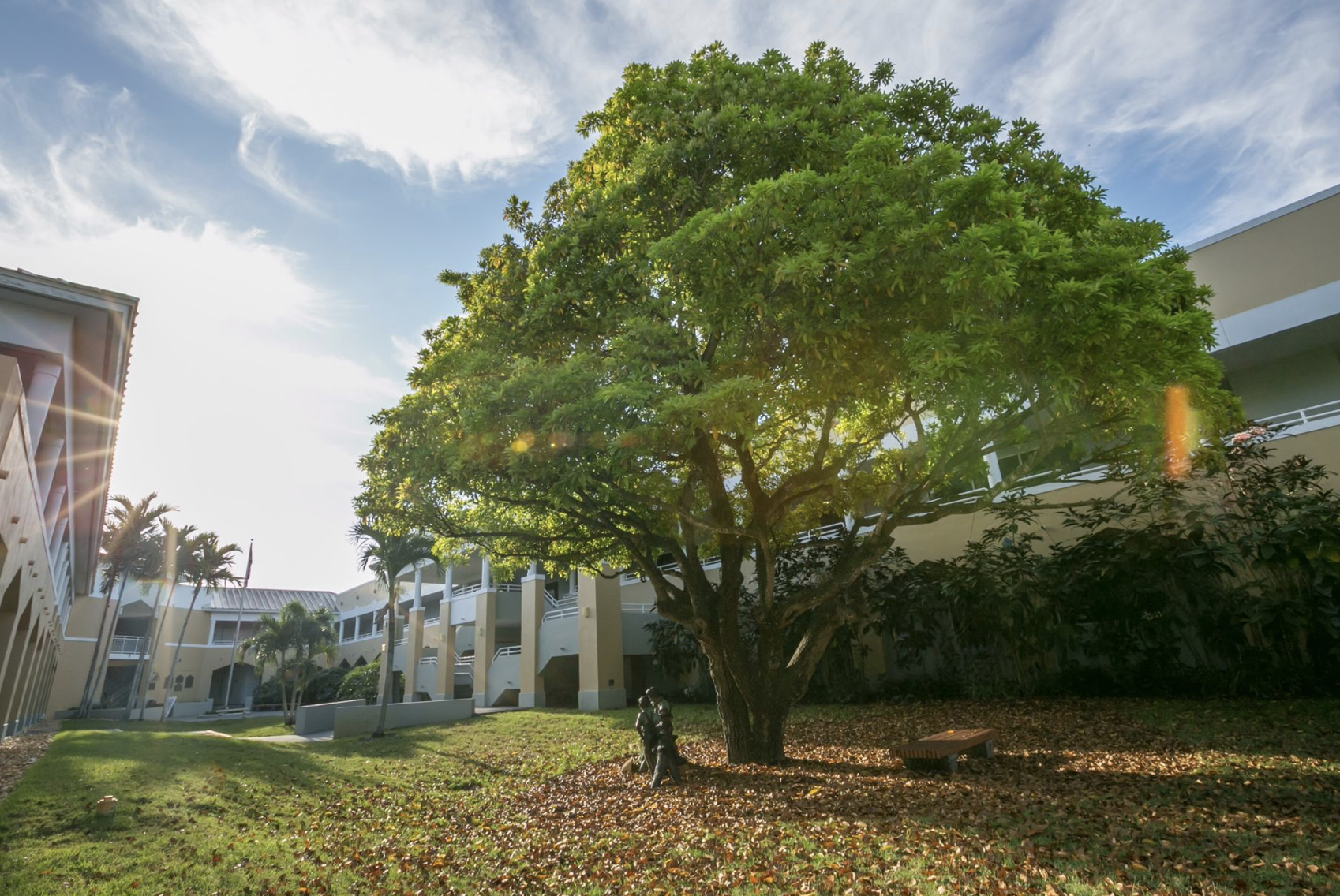Migrating Families and the Challenges of Finding the Right Miami Private Schools Migrating Families and the Challenges of Finding the Right Miami Private Schools