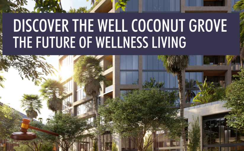 The Well in Coconut Grove