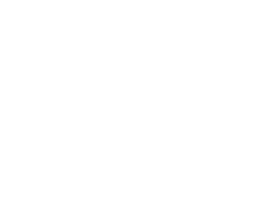 watermark